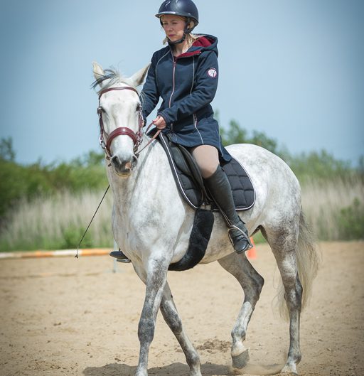 cheval blanc, Vic, Emilie, St Jean de Monts, paddock