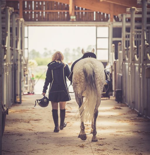 Equitation, écurie, St Jean de Monts